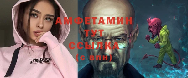 дмт Абаза
