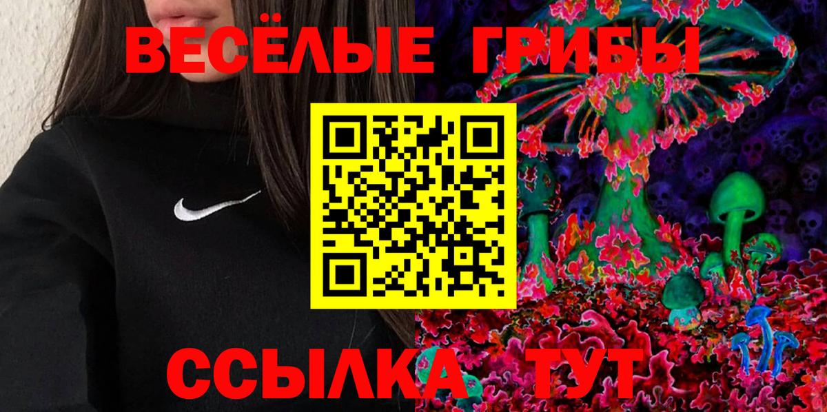 Саратов  Галлюциногенные грибы Psilocybe  Вход с VPN 