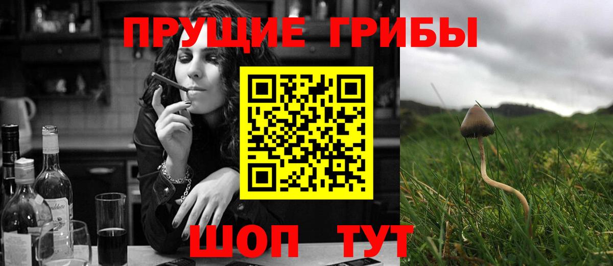 Галлюциногенные грибы Magic Shrooms Саратов