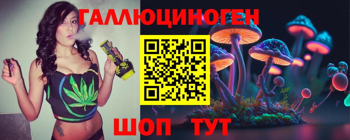 Бошки Шишки  ГАШ  Саратов  А ПВП СК кристаллы  КОКАИН  Марихуана  Меф   Вход с VPN 