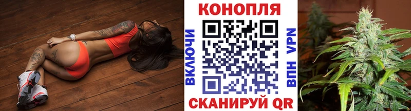 Конопля SATIVA & INDICA  Саратов 